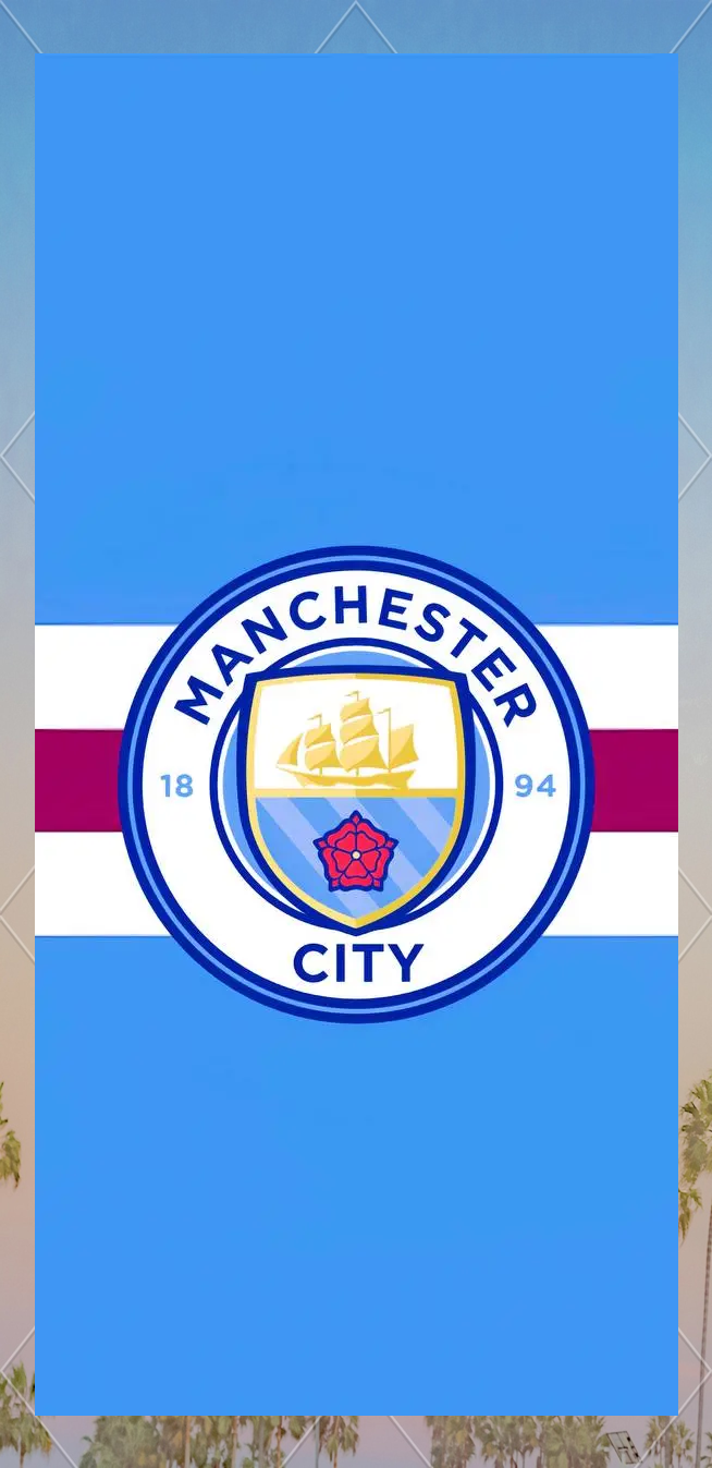 B费本赛季联赛被过25次，排所有英超球员第一位（英超本季被过次数榜：B费25次居首）